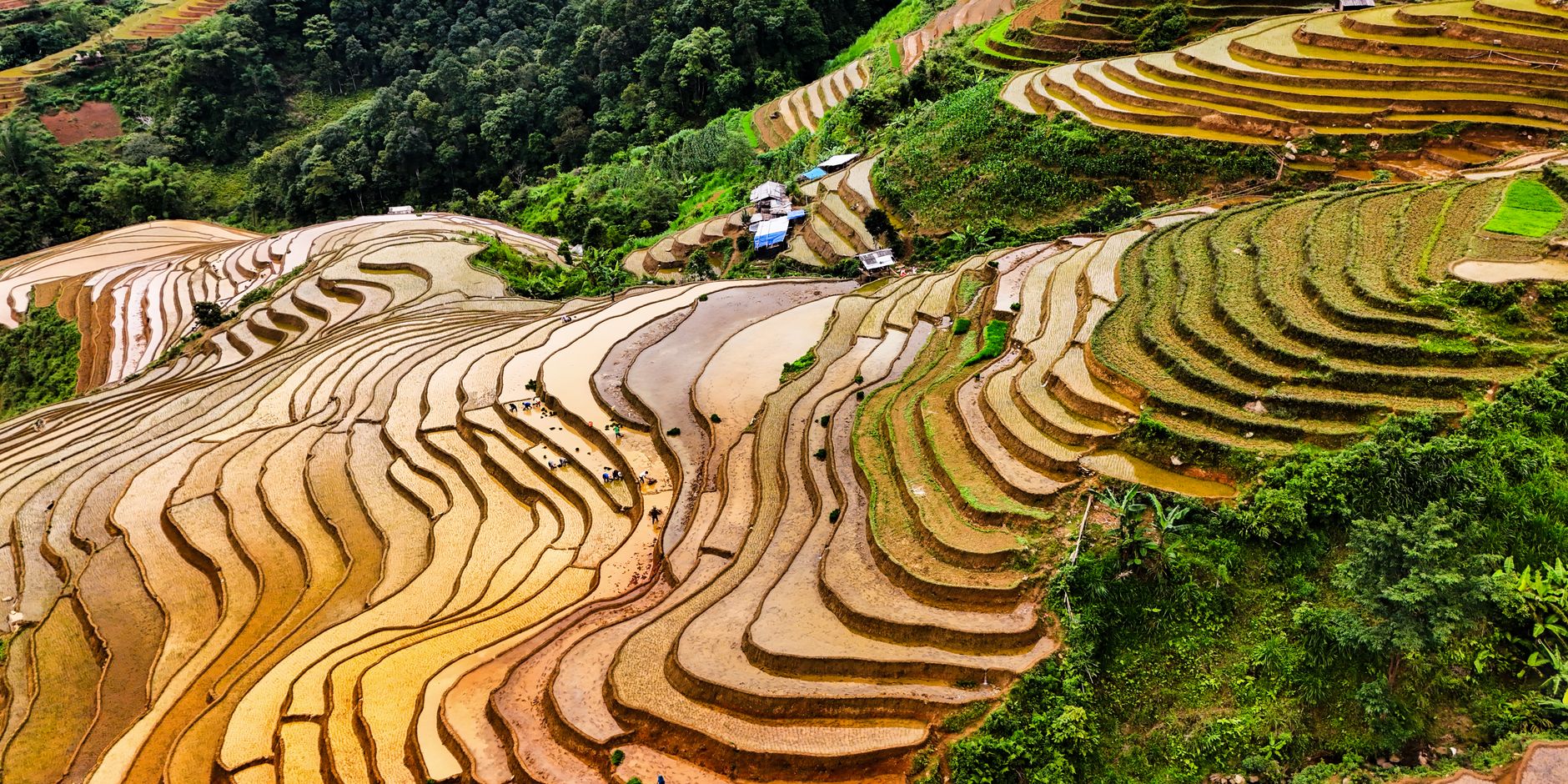 A breathtaking aerial view of terraced rice fields in Northern Vietnam, showcasing natural beauty and agricultural herit