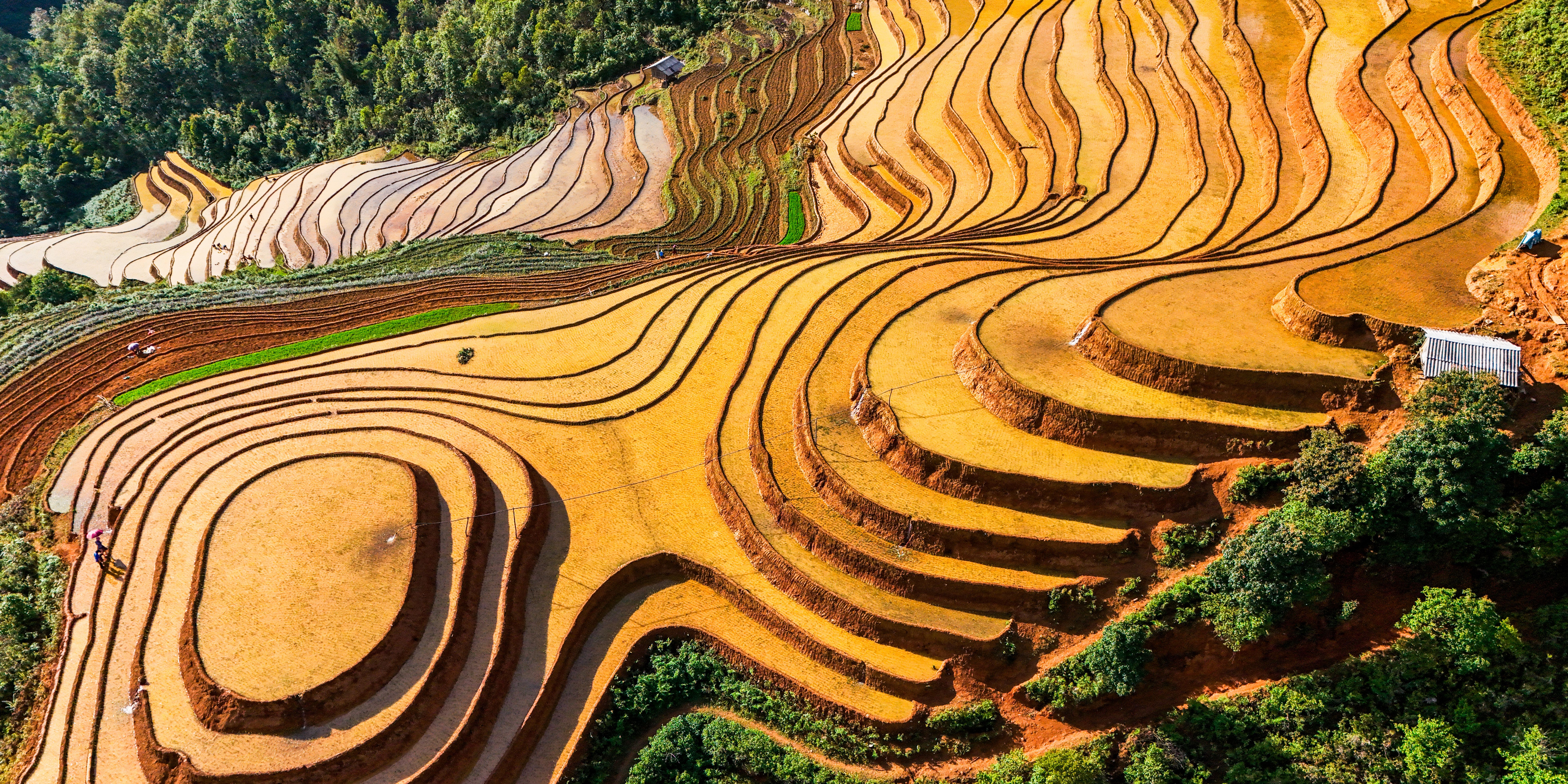 As 2026 shapes new travel trends, Hush Tourism is currently gaining popularity — Photo by GIANG VU on Pexels