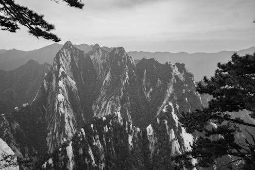 Captivating monochrome view of towering mountain peaks framed by trees.