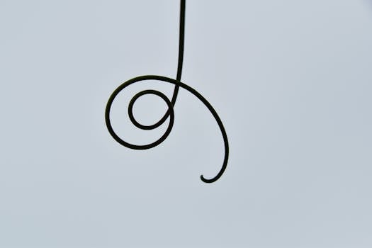 A close-up of a spiraled tendril against a light sky, showcasing minimalist beauty.