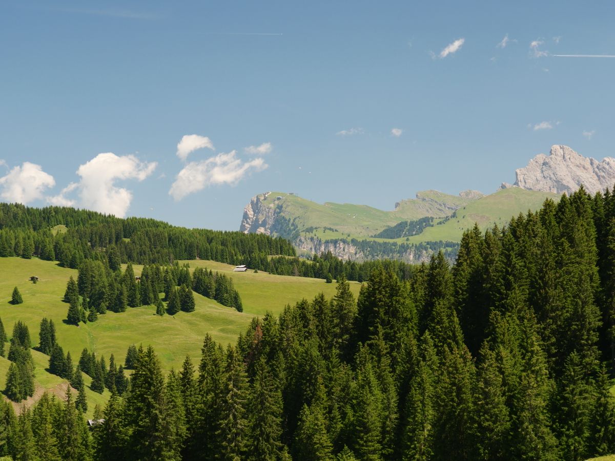 Platoul Alpe di Siusi cu pajiști verzi și vârfurile Dolomiților în fundal