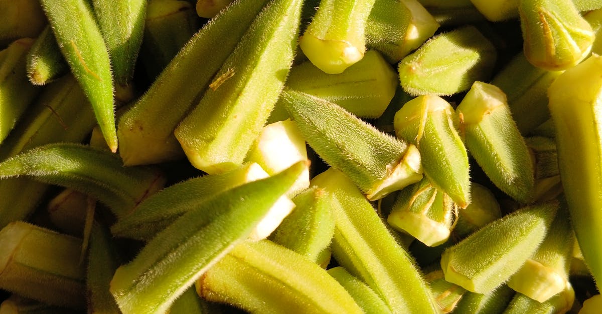 台北食品展 豐味苗栗館 盛大開幕 苗栗縣長盼優質農特產走向國際