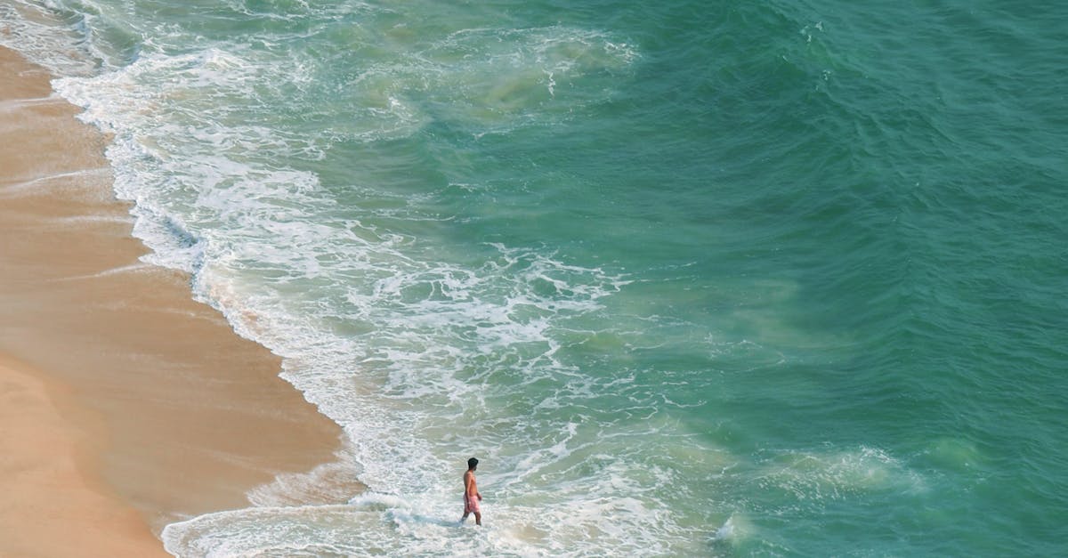國際冒險治療研討會IATC花蓮盛大登場 徐榛蔚邀請世界看見台灣自然與文化之美