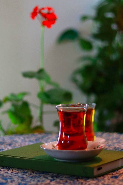 Free Aesthetic setup of black tea in glasses with a background red flower and greenery, creating a calming atmosphere. Stock Photo