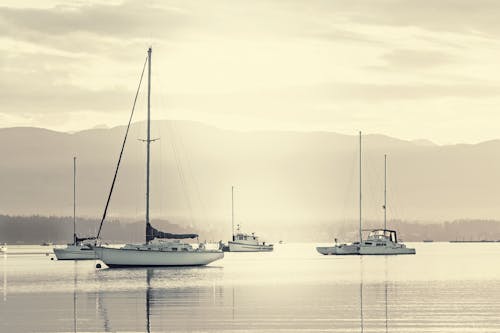 Kostenlos Segelboote, Die Auf See Gegen Himmel Segeln Stock-Foto