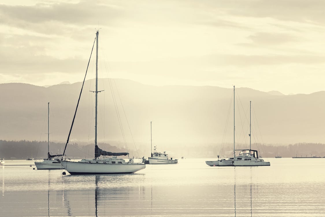 Sailboats Sailing on Sea Against Sky