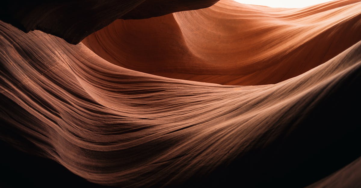 國際冒險治療研討會IATC花蓮盛大登場 徐榛蔚邀請世界看見台灣自然與文化之美