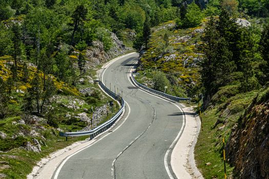 Winding mountain road through lush green forest and rocky landscape under a clear sky.