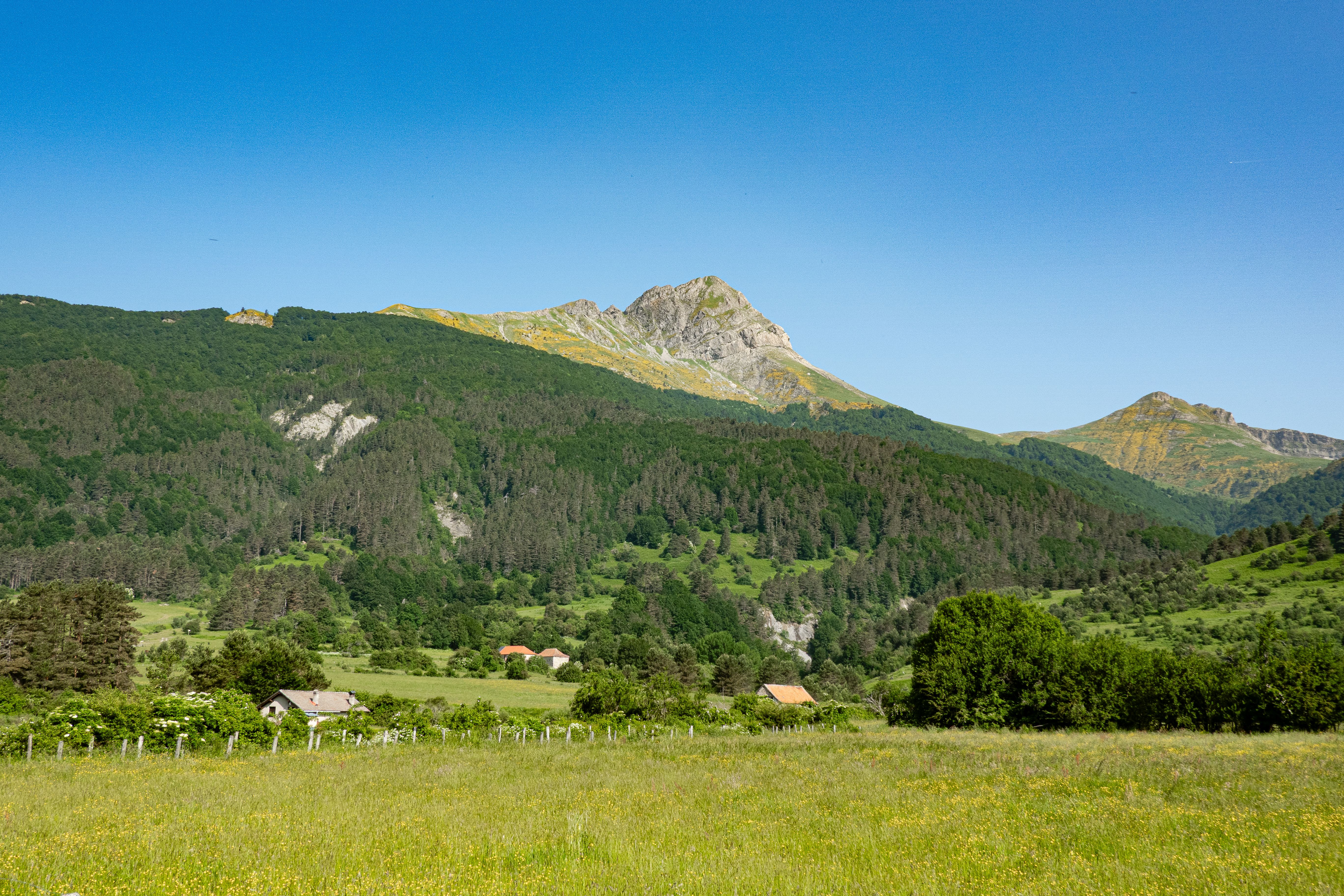 Scenic Mountain Landscape with Lush Greenery · Free Stock Photo