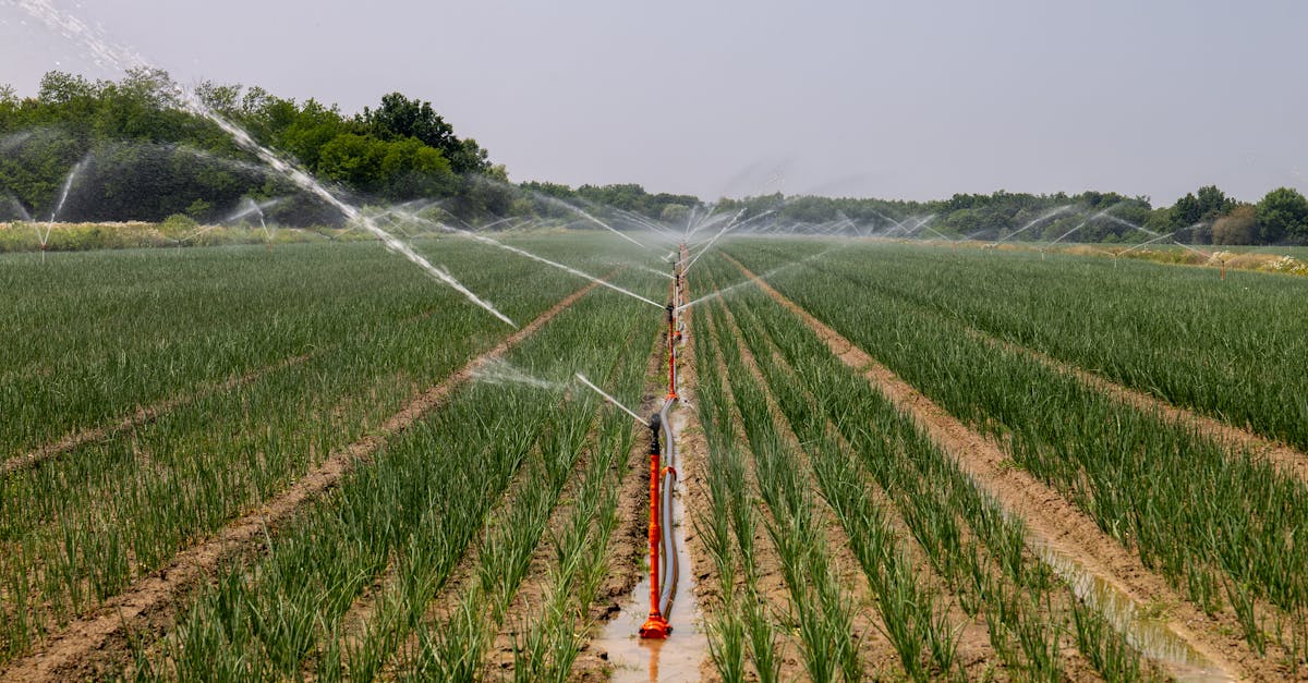 打造潔淨生活圈 林口水資中心設備升級更犀利
