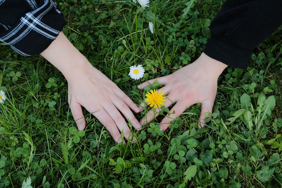 Tips dan Trik Menggunakan LM837: Pengalaman Lapangan Tips dan Trik Menggunakan LM837: Pengalaman Lapangan