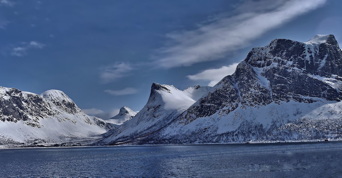 國際:全球多國聚焦氣候變遷峰會,共商永續發展策略