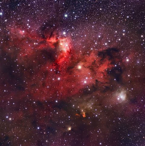 A red and orange emission nebula threaded with dark dust among dense stars