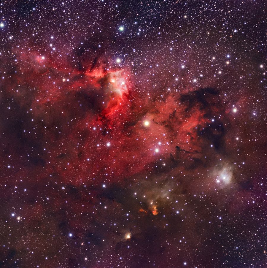 A red and orange emission nebula threaded with dark dust among dense stars