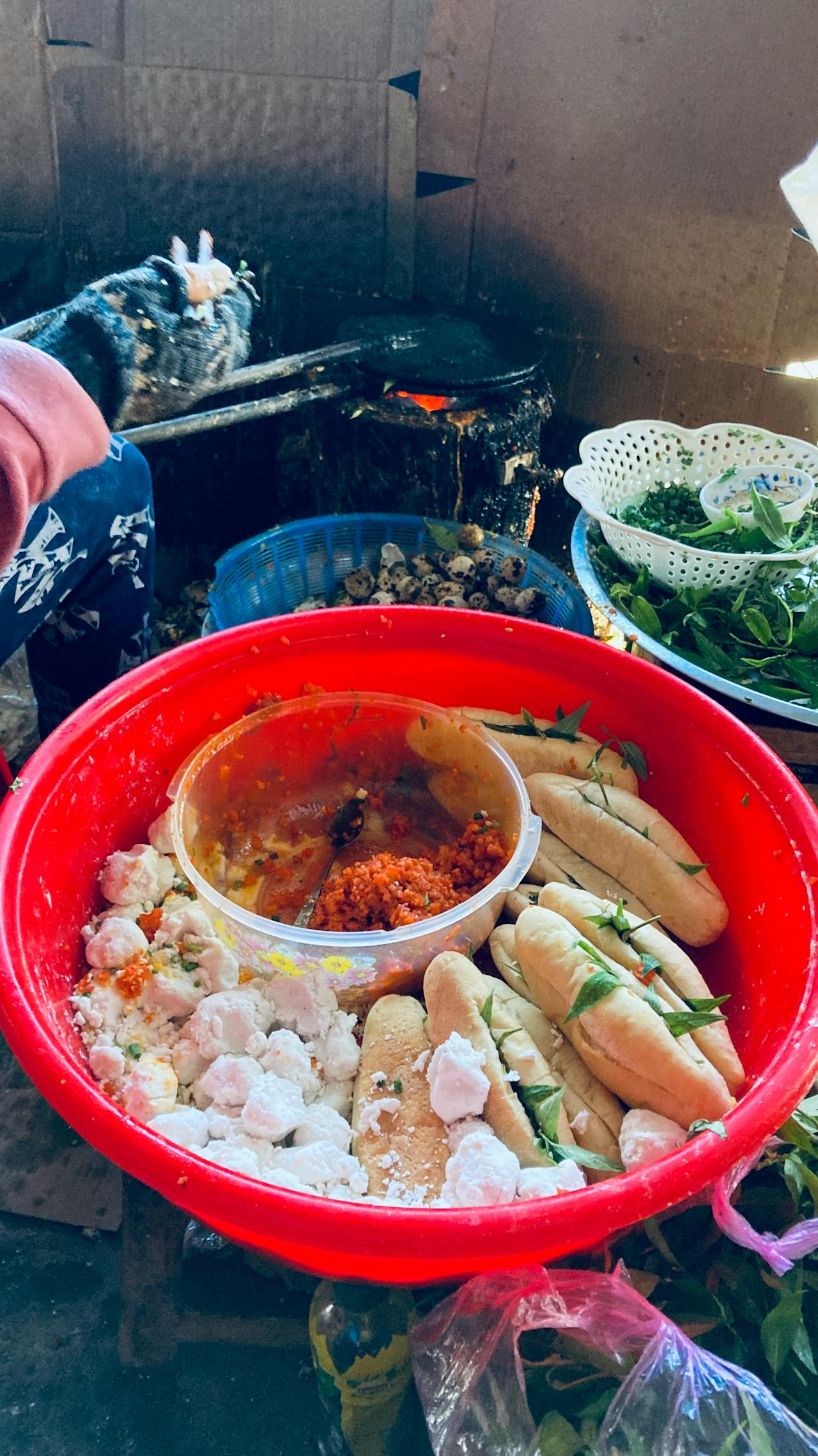 Hannah Arendt từ bỏ triết học đối đầu thế giới