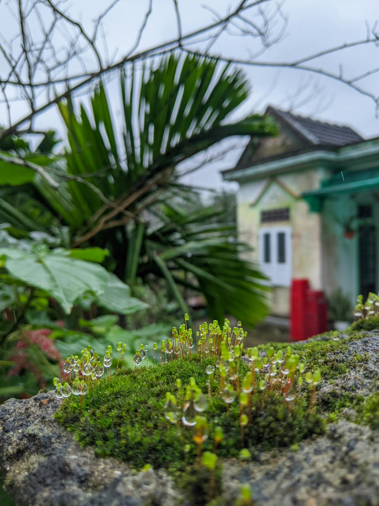 Thám tử lừng danh Conan | Chương 0539