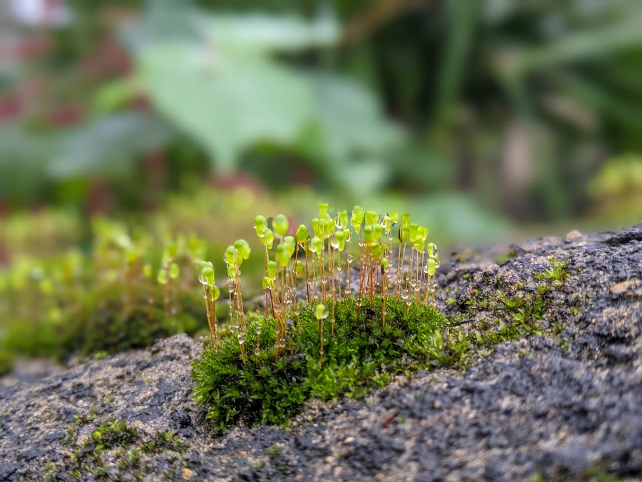 Giếng thở than | Chương 13