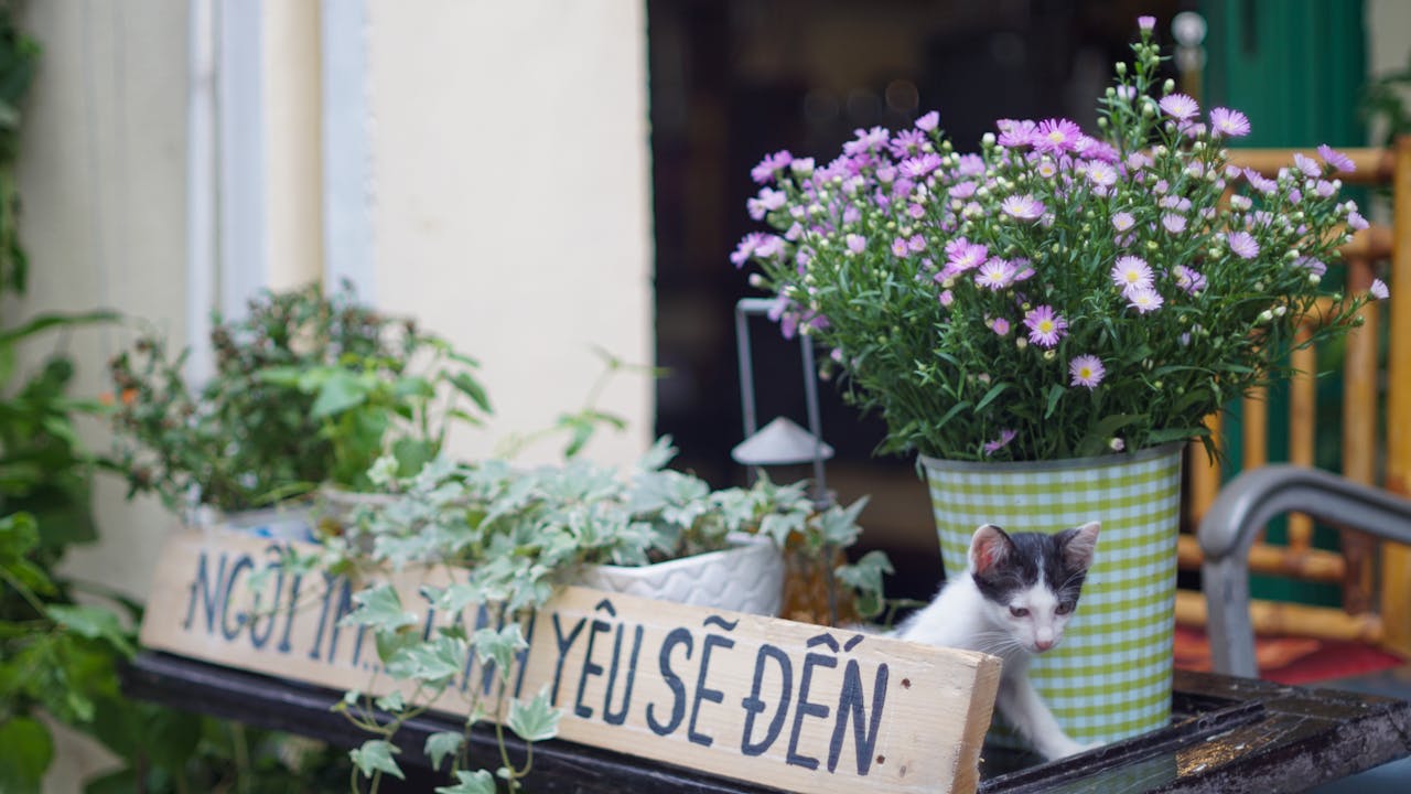 Thám tử lừng danh Conan | Chương 0879