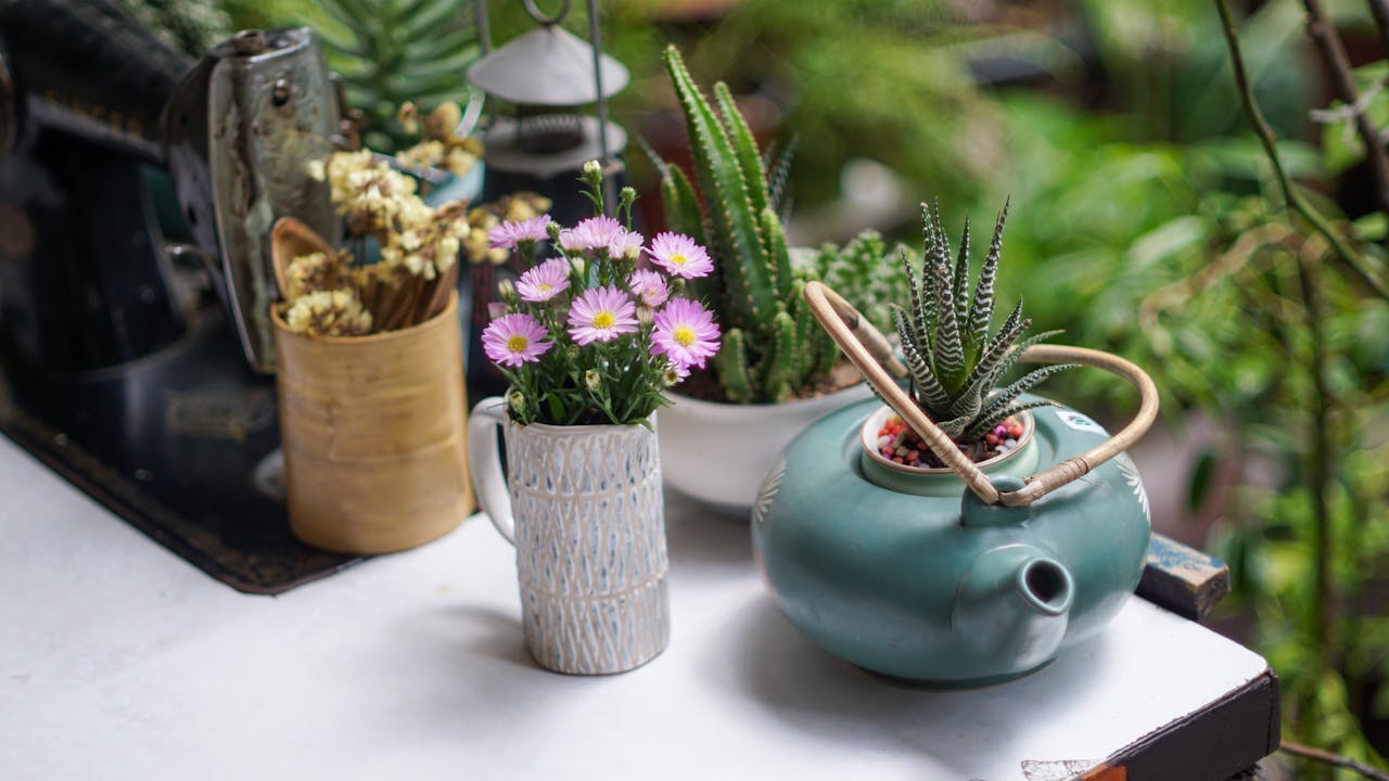 Đạo phật ngày nay | Lời nói đầu