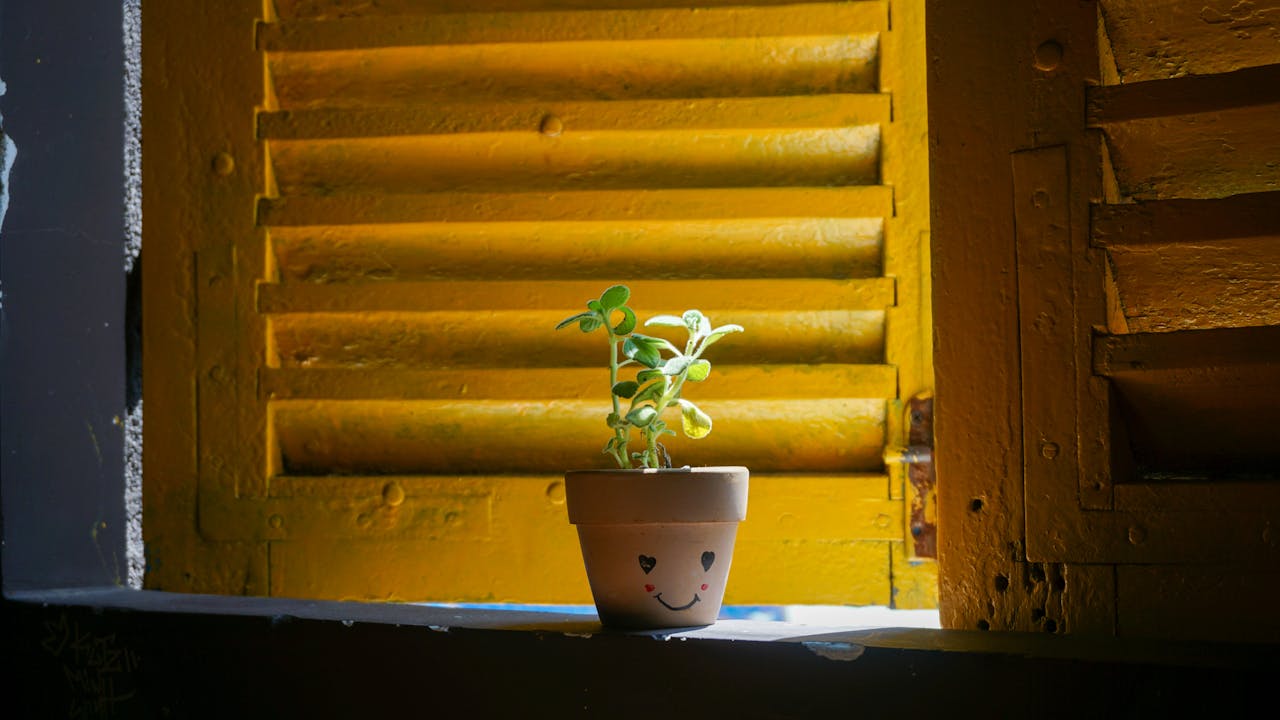 Tại sao đau khổ vì tình yêu lại đau đớn?