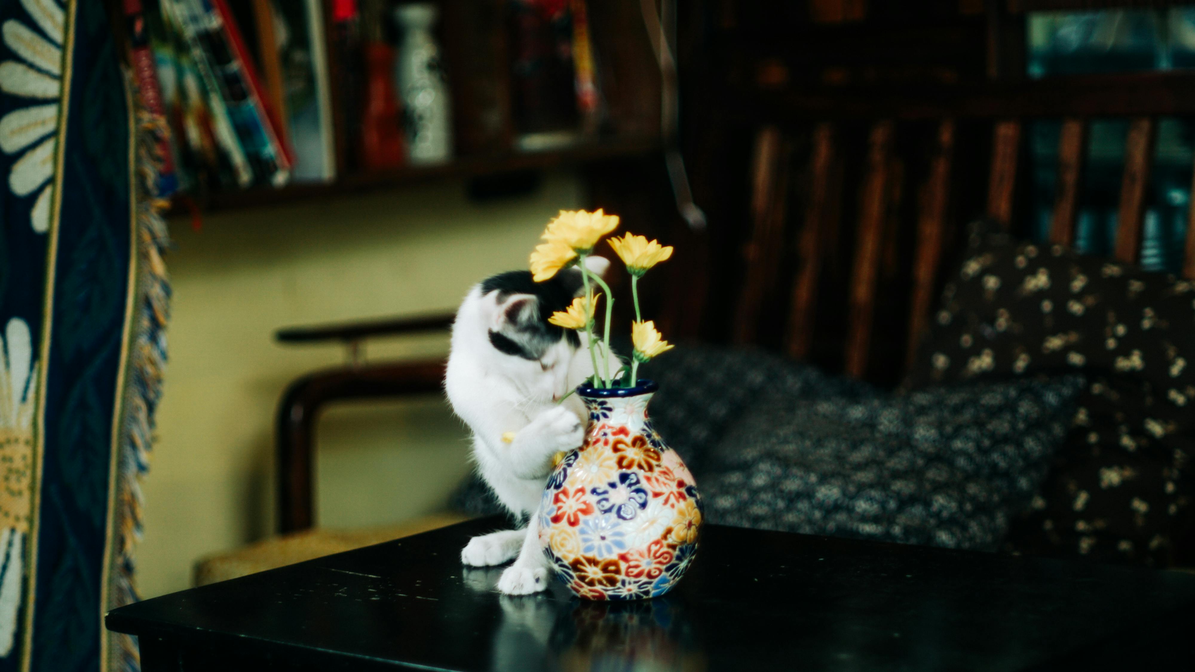 Sứ mệnh xoa dịu cơn đau mãn tính