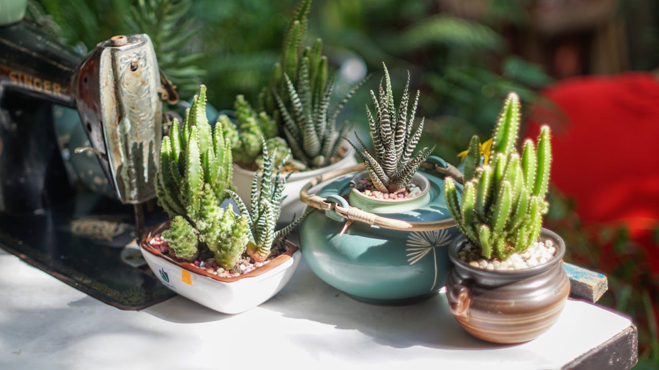 Bảo tồn ký ức tập thể khi sáp nhập địa phương