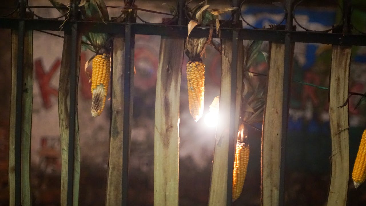 Cuộc săn lùng tàu tháng 10 đỏ | Chương 30