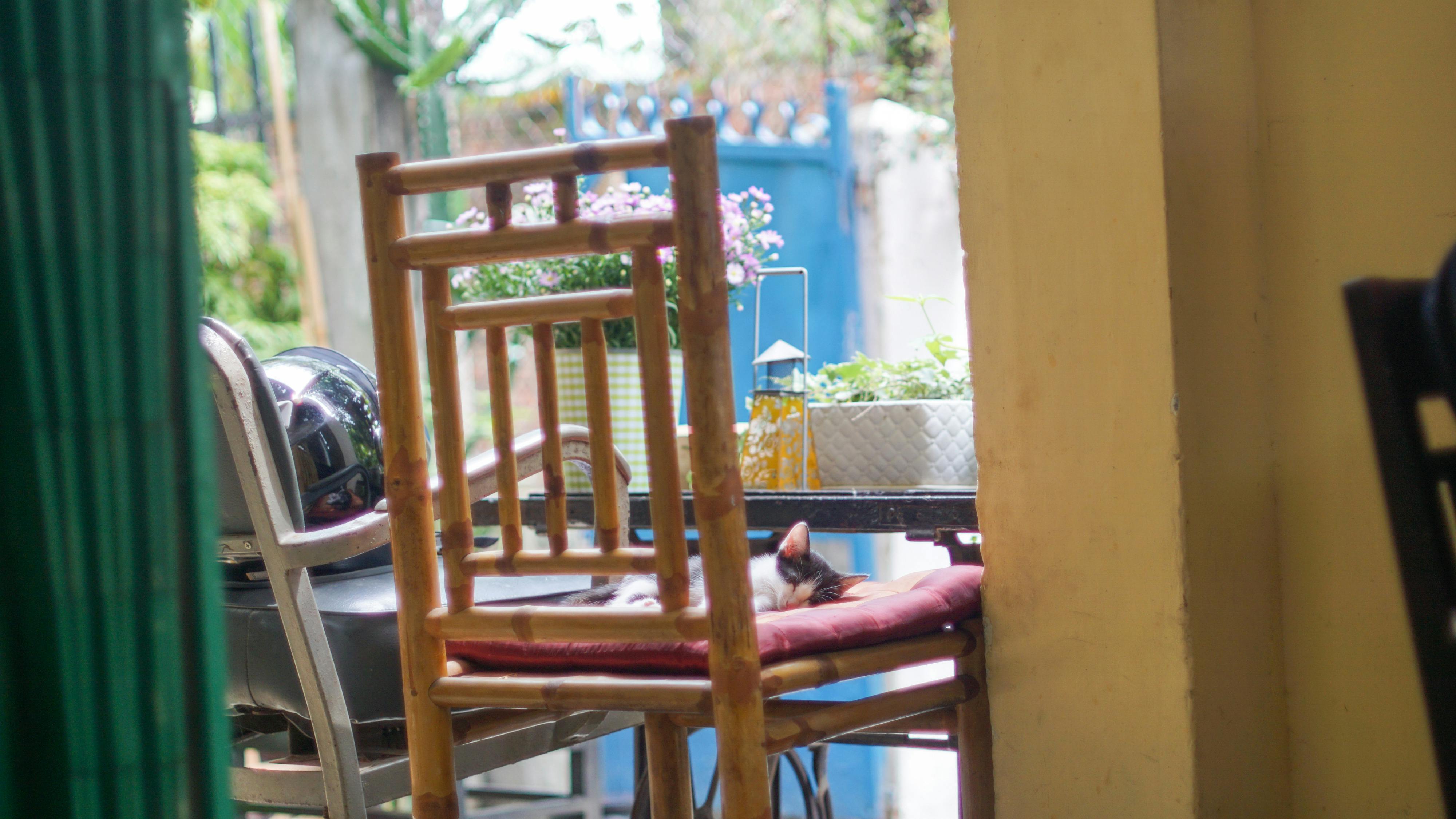 Giận | Chương 01