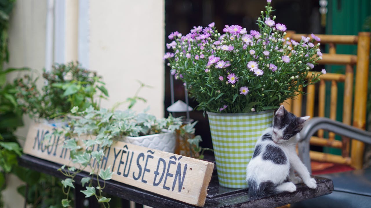 Tại sao âm nhạc tạo nên sự hưng phấn?