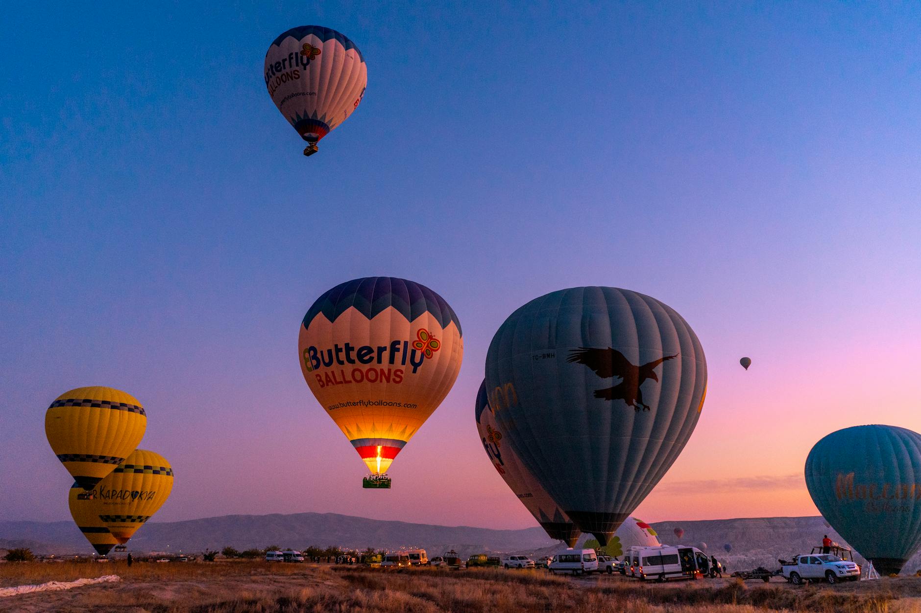 Hot Air Balloon Festival · Free Stock Photo