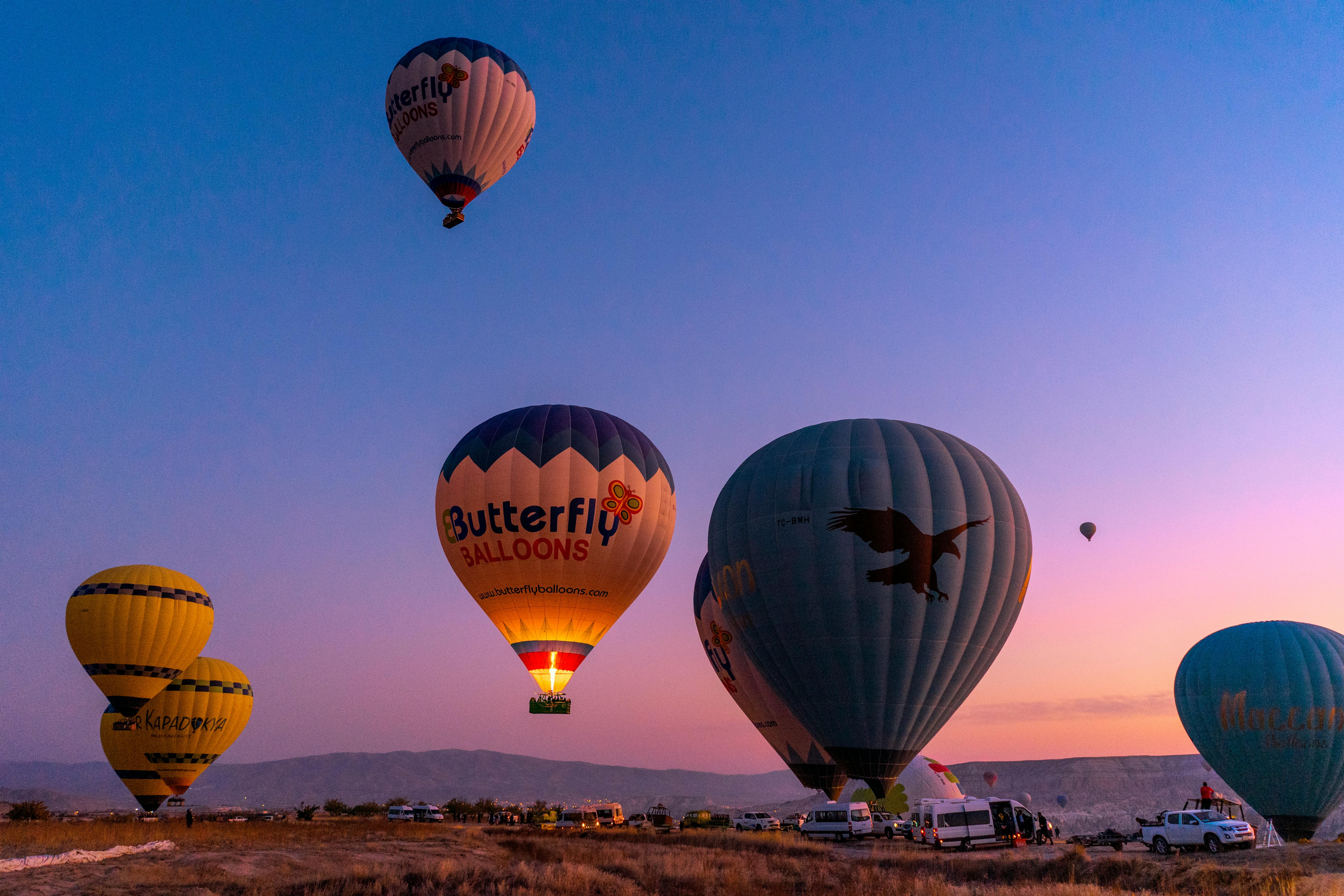 Hot Air Balloon Festival Free Stock Photo Images, Photos, Reviews