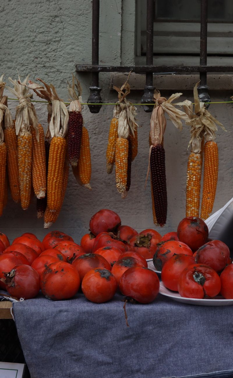 Wild Edibles Foraging: Nutrient-Dense Foods from Nature (2026)