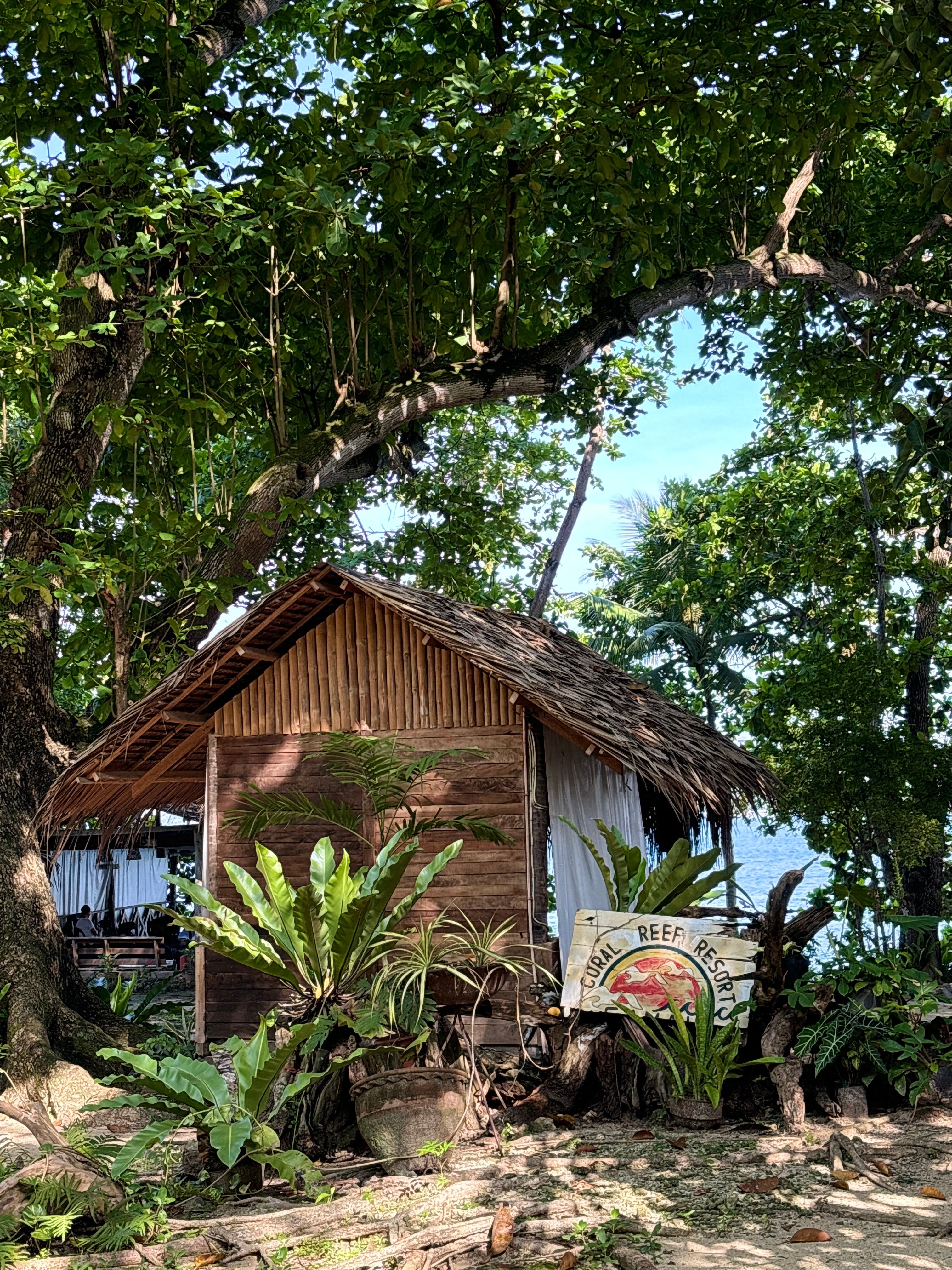 Rustic Beachfront Cabin Surrounded by Lush Greenery · Free Stock Photo