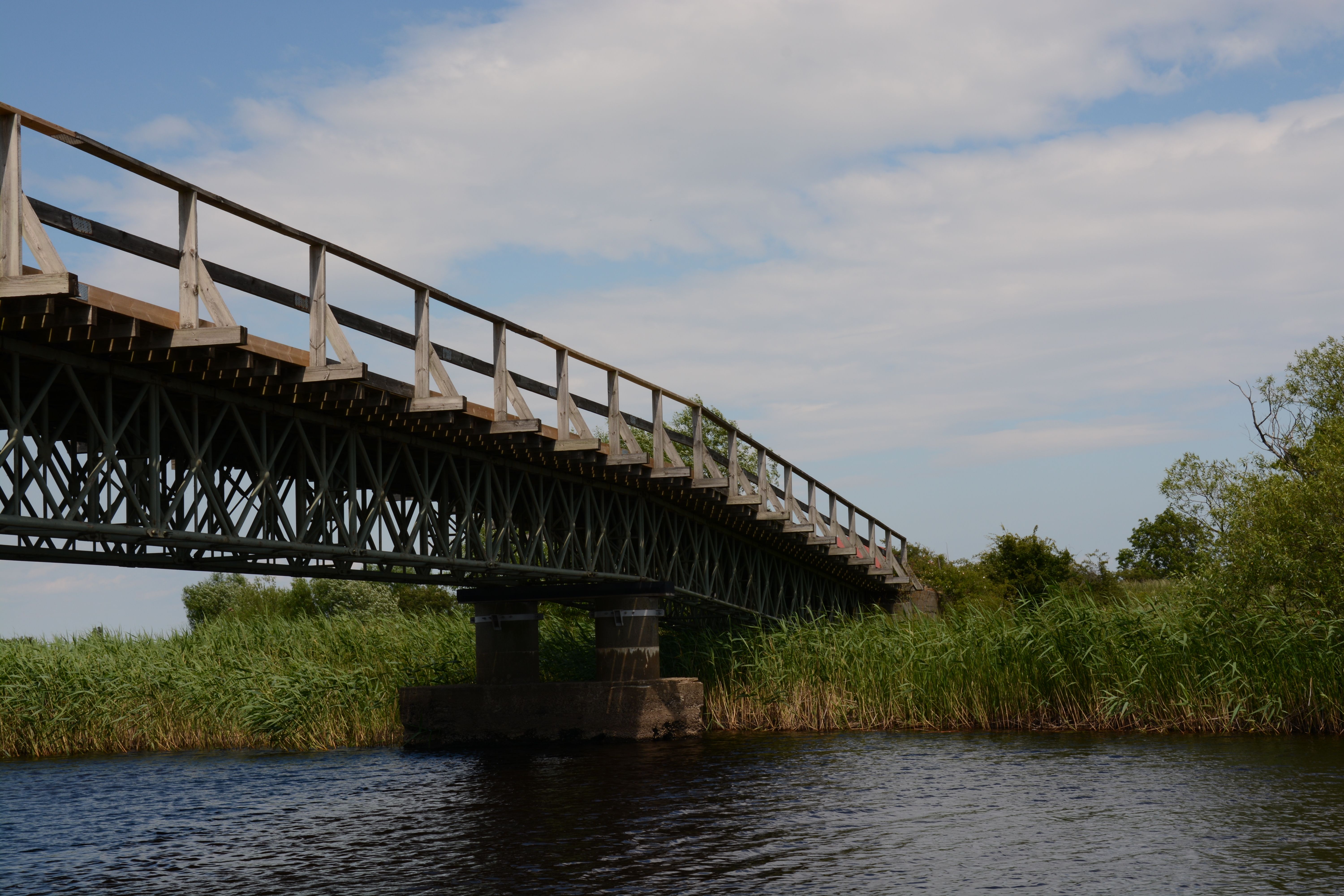 Harvard's BRIDGE Brings Video Analytics to Parasports — Photo by Jakob Andersson on Pexels