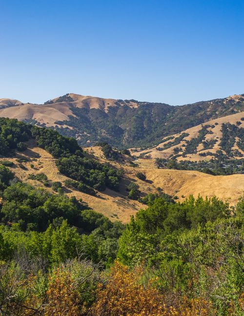 Free Breathtaking view of rolling hills with vibrant greenery under a bright blue sky. Stock Photo