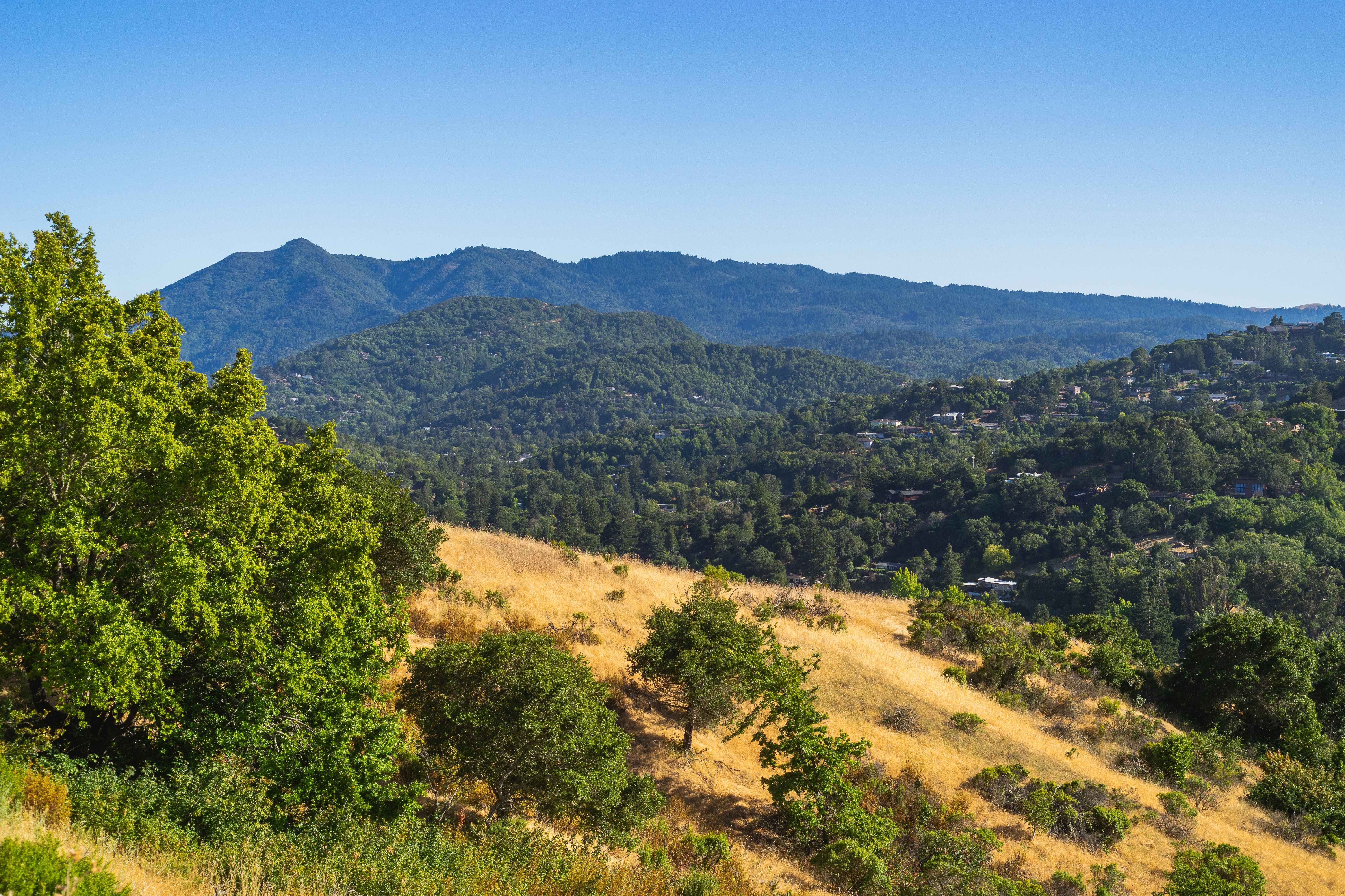 California is getting ready to increase a health insurance tax. Will it affect your premium? — Photo by Robert So on Pexels