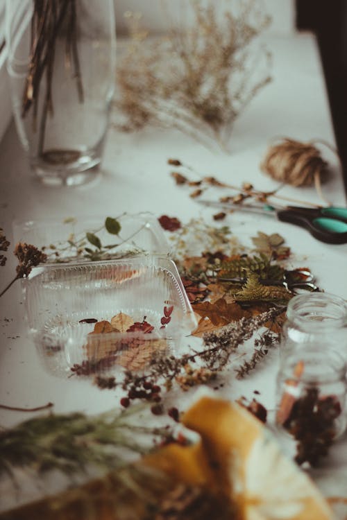 Free Dried Leaves On A Clear Plastic Container Stock Photo