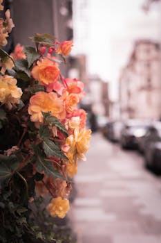 Beautiful orange and yellow flowers blooming on a London sidewalk.