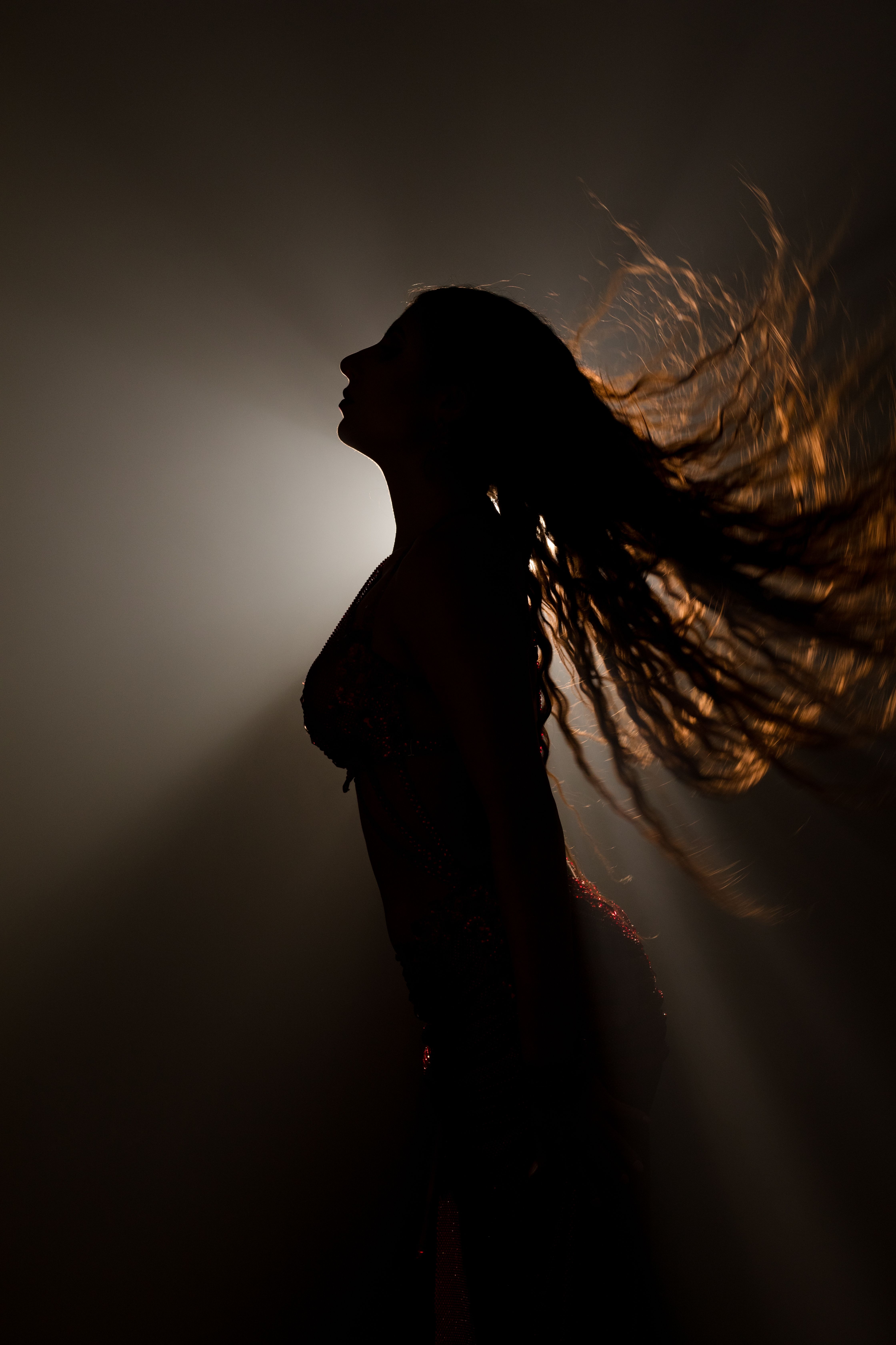 Silhouette of Woman with Flowing Hair in Dramatic Light · Free Stock Photo