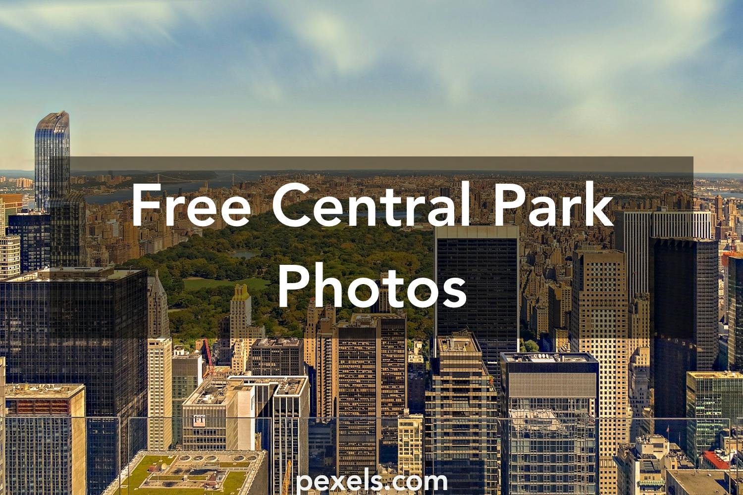 1000+ Interesting Central Park Photos · Pexels · Free Stock Photos