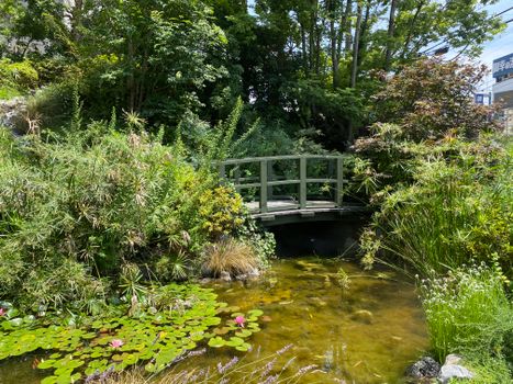 Serene outdoor garden scene featuring a wooden bridge over a pond surrounded by lush greenery.