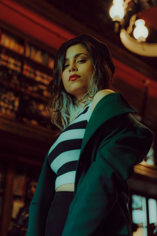 Free Portrait of a fashionable woman with attitude in an elegant library. Stock Photo