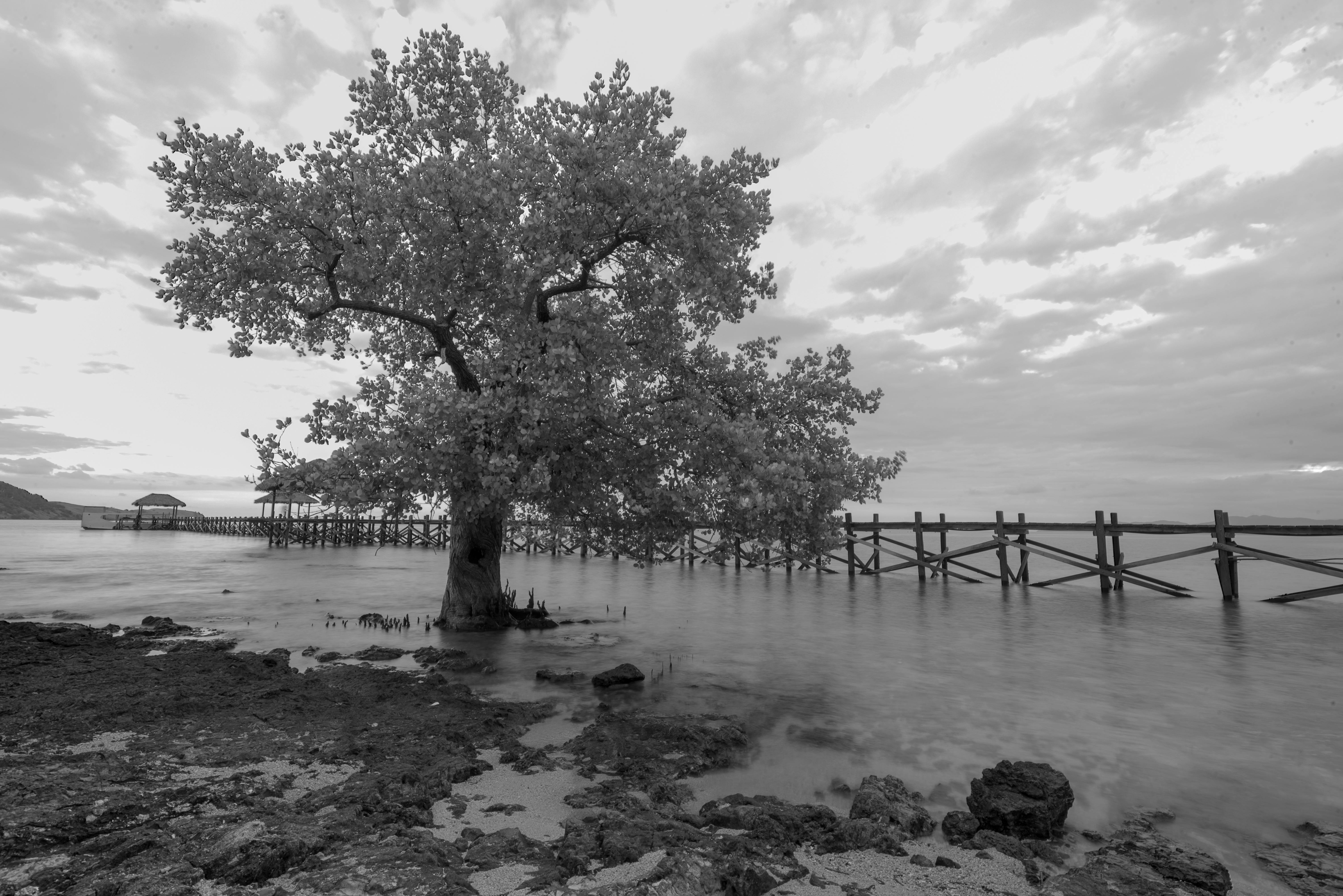 Planning Your Nusa Lembongan Mangrove Adventure