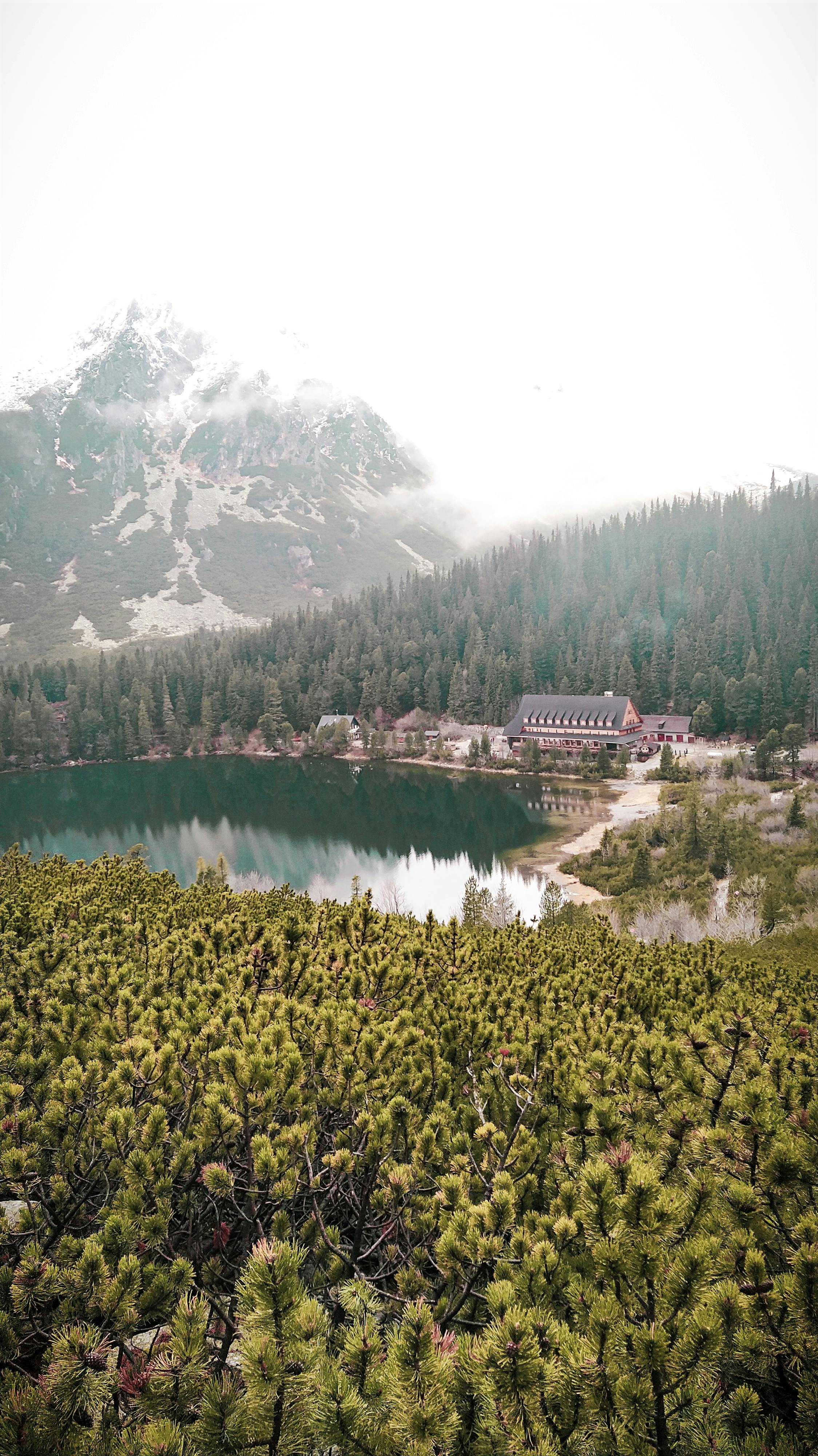 宁静的山景中，湖边小屋坐落在松树和薄雾笼罩的山峰之间，非常适合自然爱好者