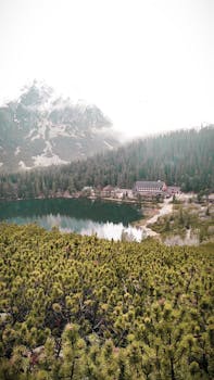 宁静的山景中，湖边小屋坐落在松树和薄雾笼罩的山峰之间，非常适合自然爱好者