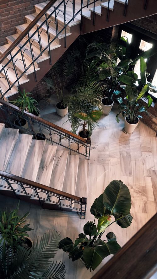 Free A stylish indoor staircase adorned with vibrant potted plants in a bright setting. Stock Photo