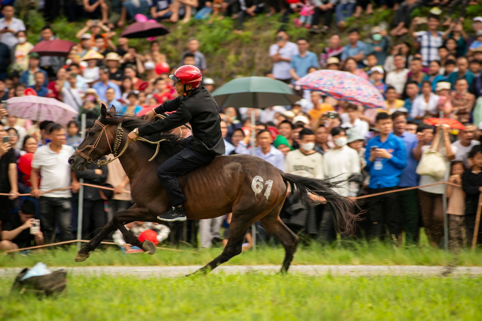 香港賽馬會沙田馬場賽事進行中,馬匹在濕潤草地上爭奪最後直路