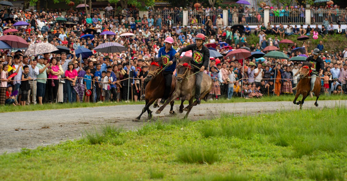 彰化濱海六大農村社區攜手打造 葡食生活節 體驗農村新風貌與創生好生活