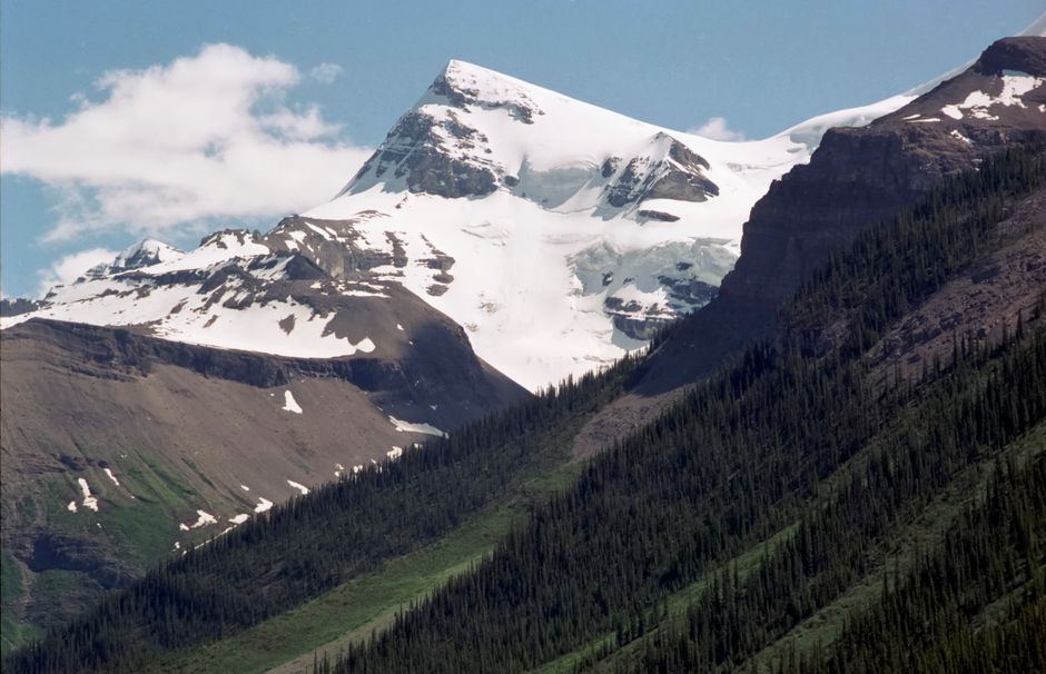 Alberta Separatists Hit 300K Signatures on Independence Petition