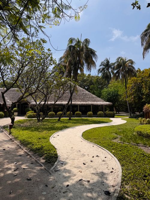 Free Curved pathway in lush garden with palm trees and rustic thatched hut under sunny skies. Stock Photo